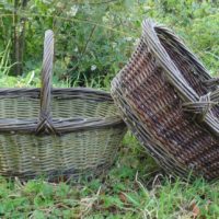 Two baskets in the grass by Hanna Van Aelst