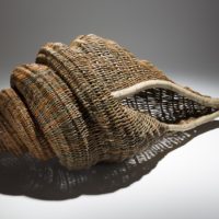 Shell basket by Paul Finch